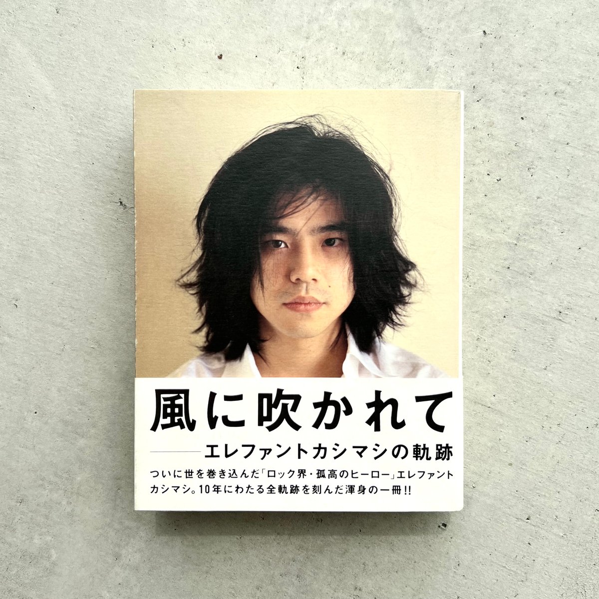 ゴム・エラストマ-の界面と機能/シ-エムシ-出版/西敏夫（単行本） Amazon.co.jp: 西 敏夫: Japanese Books