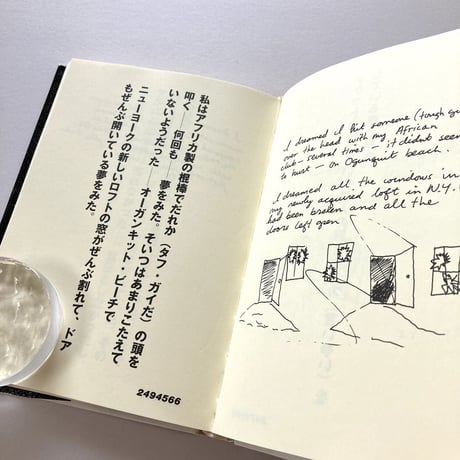 夢をみた ボロフスキーの夢日記