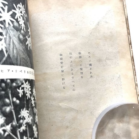 珈琲記