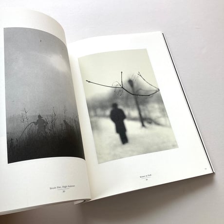 Y.アーネスト・サトウ写真集
