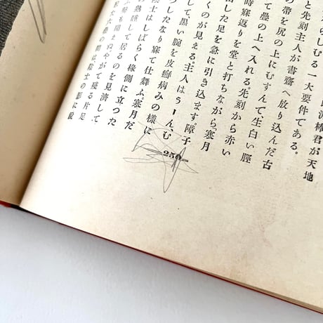 吾輩ハ猫デアル　1905年第3版