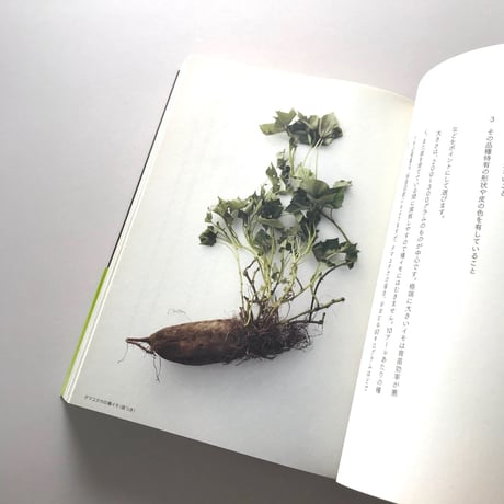 ほしいも学校