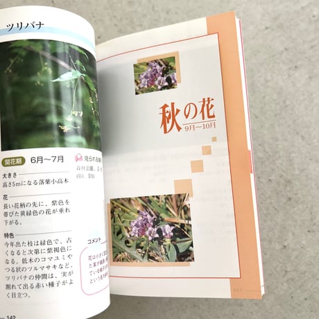 野山の花をたずねて⠀榛名山編