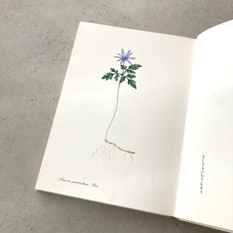 私の植物図鑑