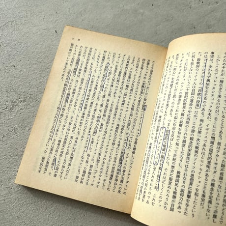 【文庫】日本のアウトサイダー