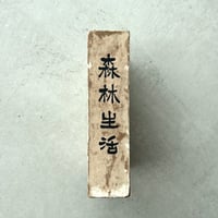 森林生活　ソロー