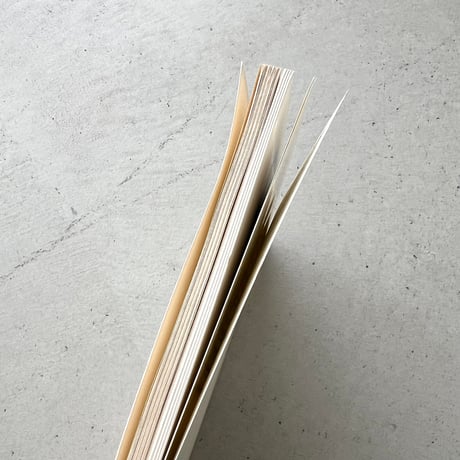 Giorgio Morandi エッチング作品集