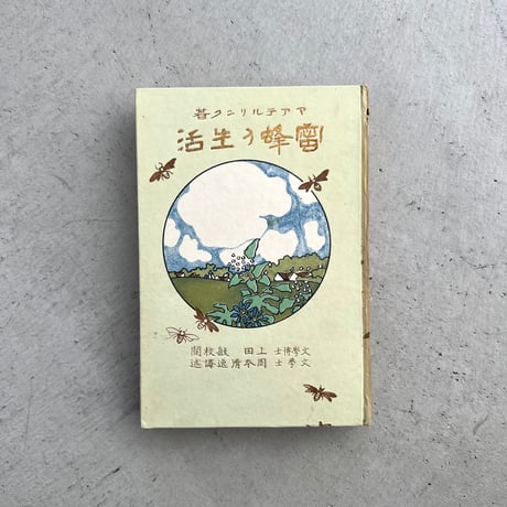 蜜蜂の生活