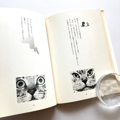 猫の航海日誌