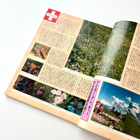SAISON de non-no 1976年8月号 no.12