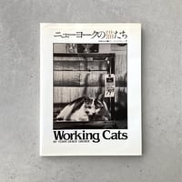 ニューヨークの猫たち