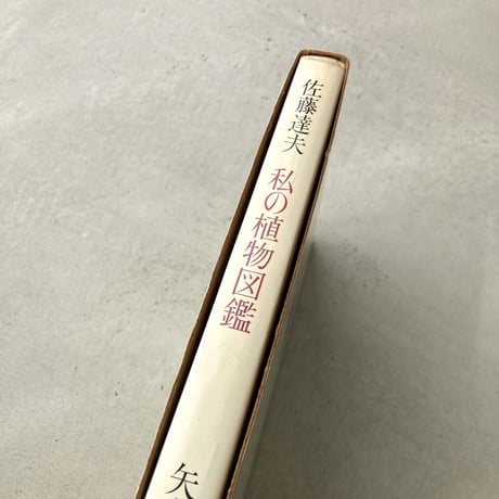 私の植物図鑑