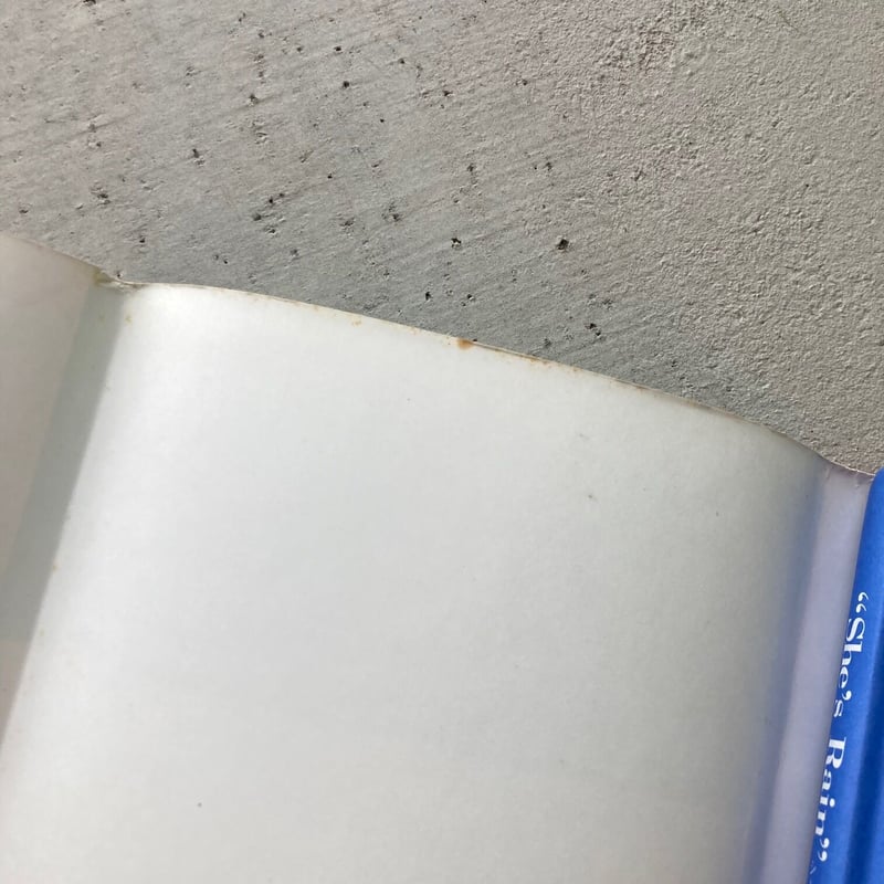 She's Rain シーズ・レイン | suiran