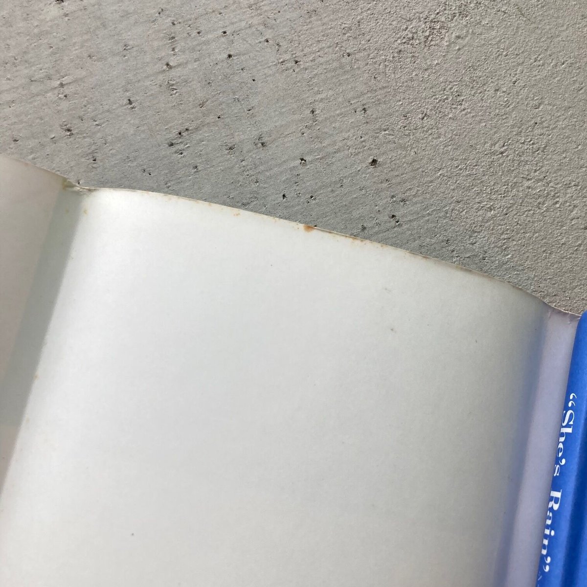 シーズレイン　She's　Rain　　平中悠一 Amazon.co.jp: シーズ・レイン : 平中 悠一: 本