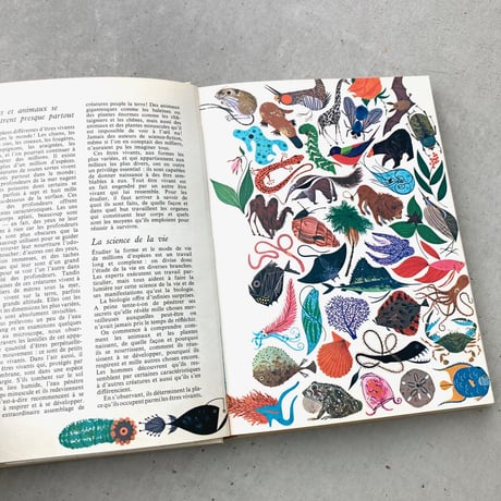 Les Merveilles de La Vie　生物学事典