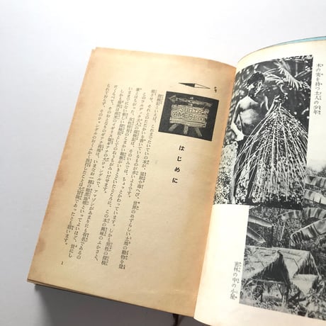 南米の大密林を行く