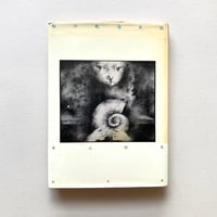 猫の航海日誌