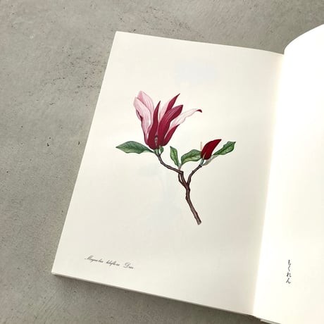 私の植物図鑑