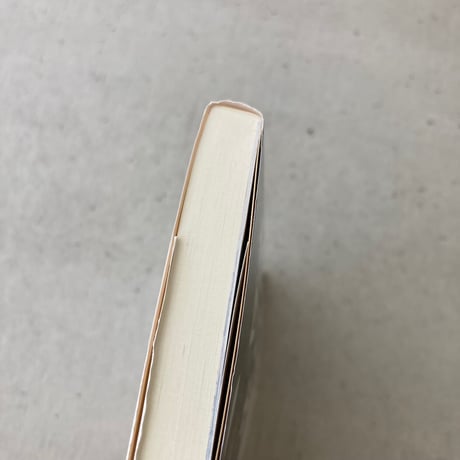 【文庫】日本ボロ宿紀行