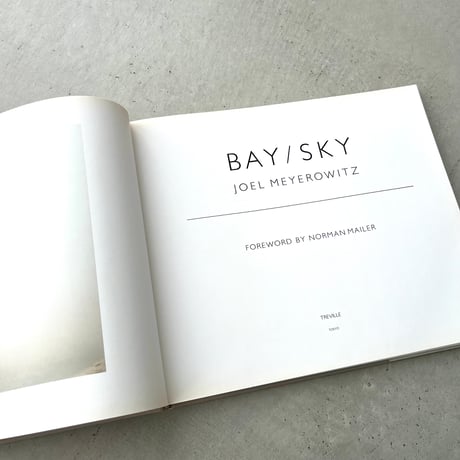 BAY / SKY
