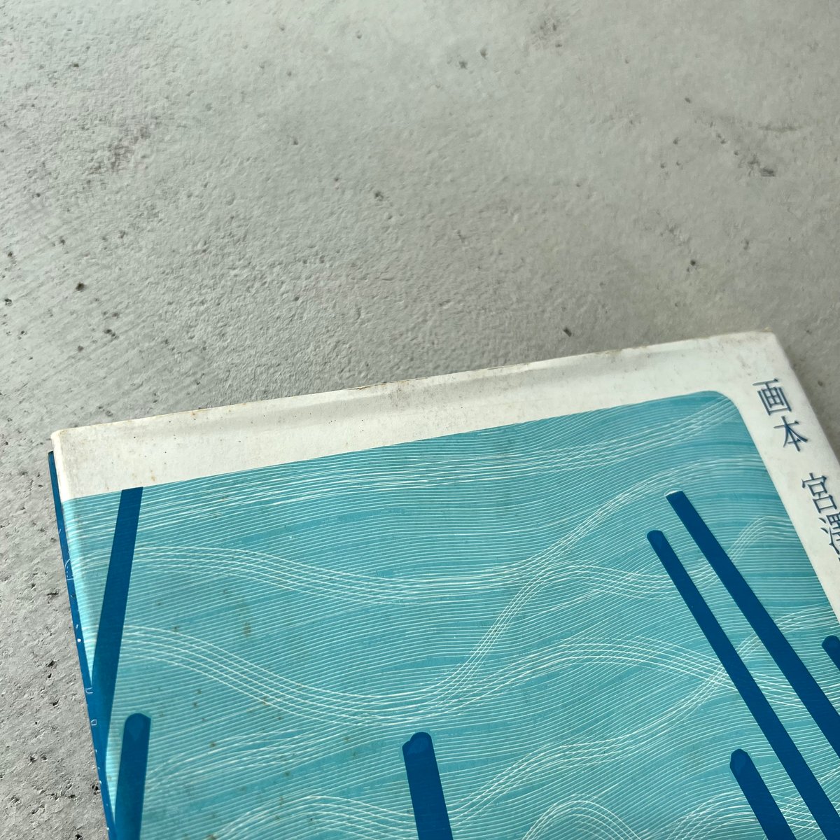 画本 宮澤賢治 やまなし パロル舎版 | suiran