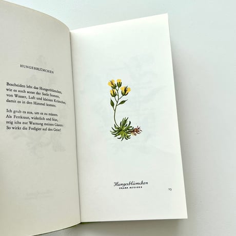 Heiteres Herbarium：Blumen und Verse