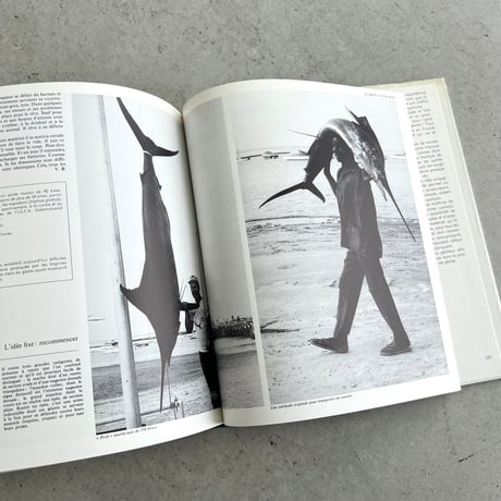 joies de la pêche　“釣りの喜び”