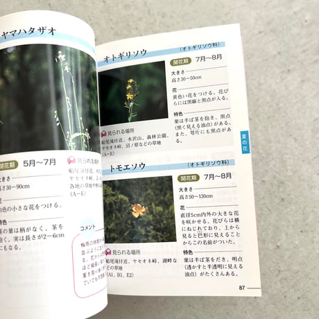 野山の花をたずねて⠀榛名山編