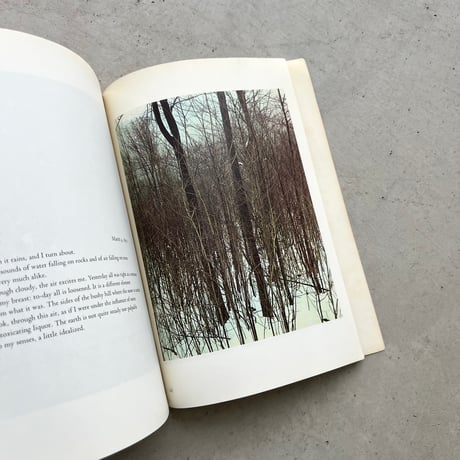 In wildness is the  preservation of the world