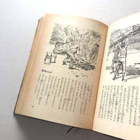 南米の大密林を行く