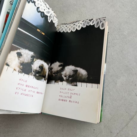 どういうわけか、ボクはネコ