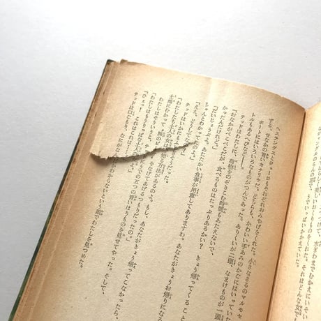 南米の大密林を行く