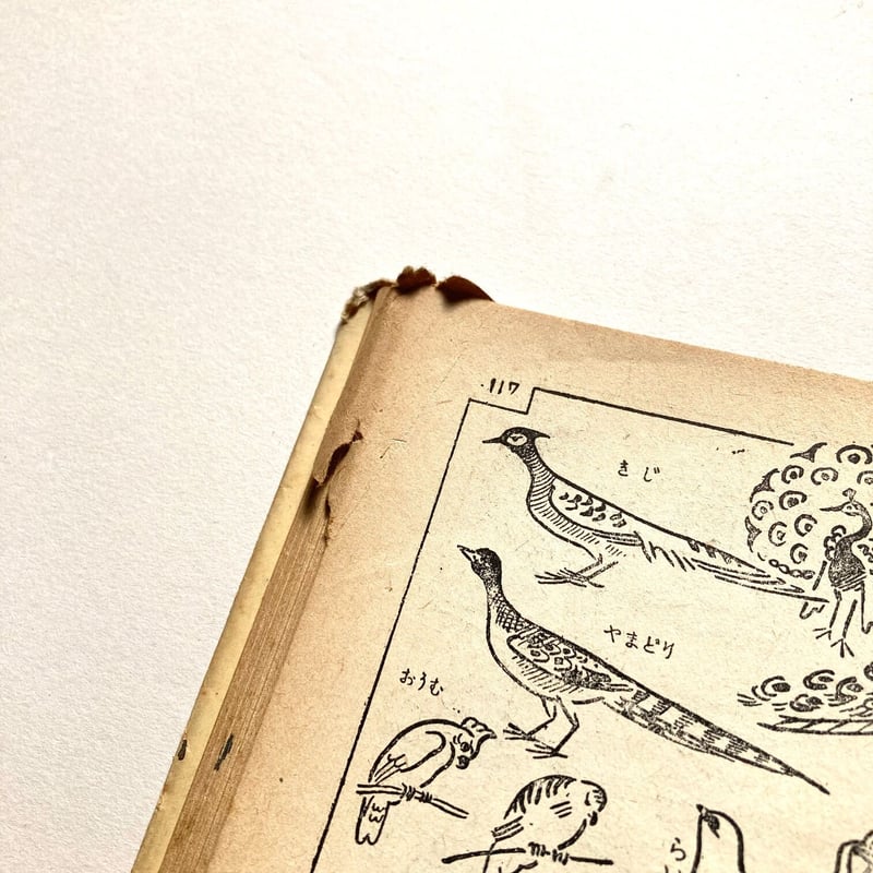 略画図案新事典 | suiran