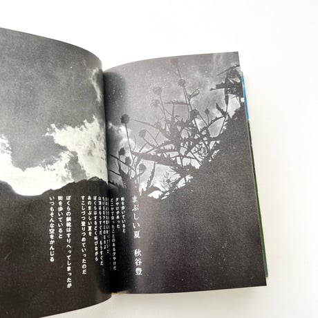 山に入る日　われらの山々2