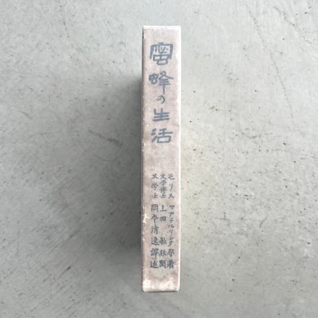 蜜蜂の生活