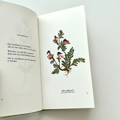 Heiteres Herbarium：Blumen und Verse