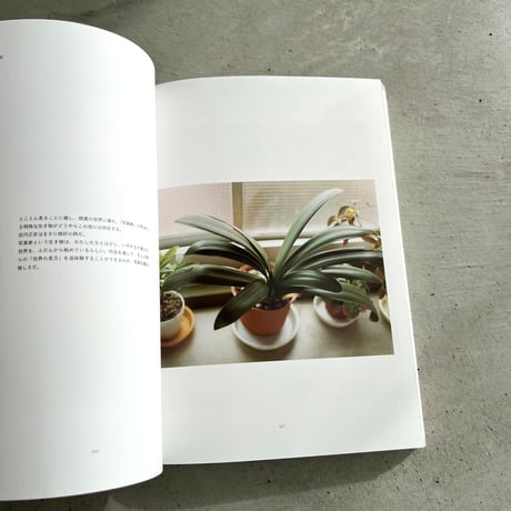 写真を読む夜