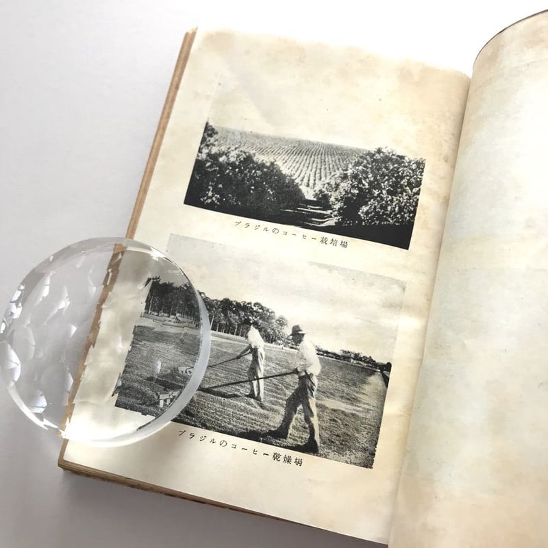 THE BOOK OF COFFEE/ザ ブック オブ コーヒー 洋書　古本 THE BOOK OF COFFEE/ザ ブック オブ コーヒー 洋書 古本 THE