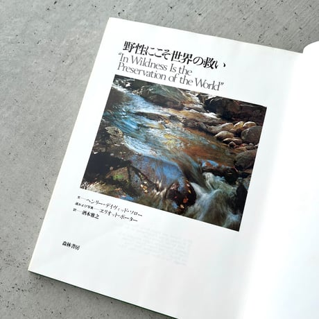 野性にこそ世界の救い
