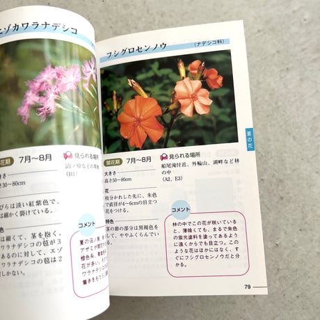 野山の花をたずねて⠀榛名山編