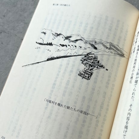 武尊嶺に漂う青春　女啄木「江口きち」の伝記