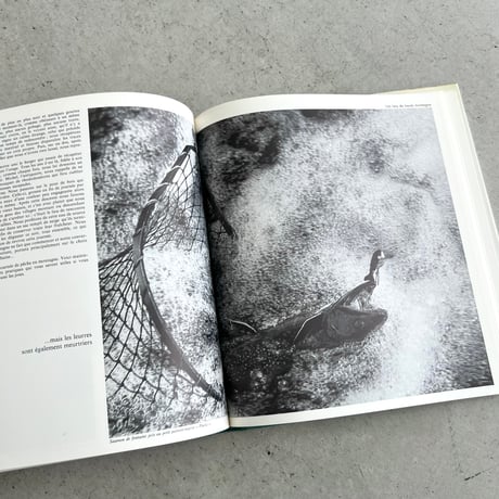 joies de la pêche　“釣りの喜び”