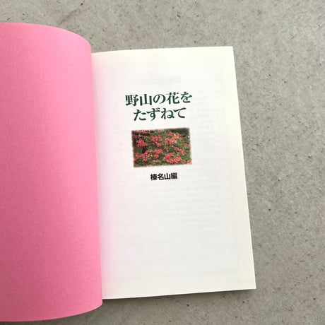 野山の花をたずねて⠀榛名山編