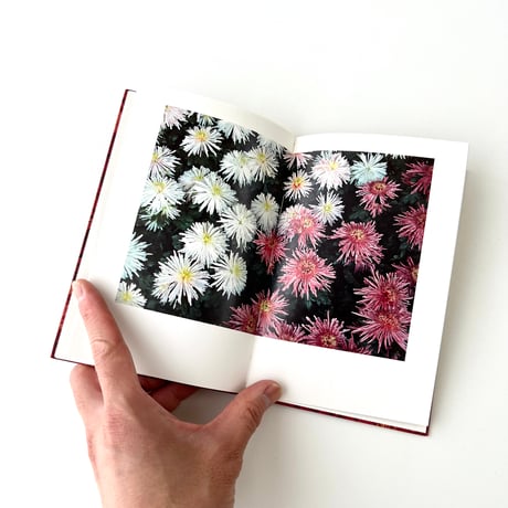 インゼル文庫　1286番　この世の美：秋の花々