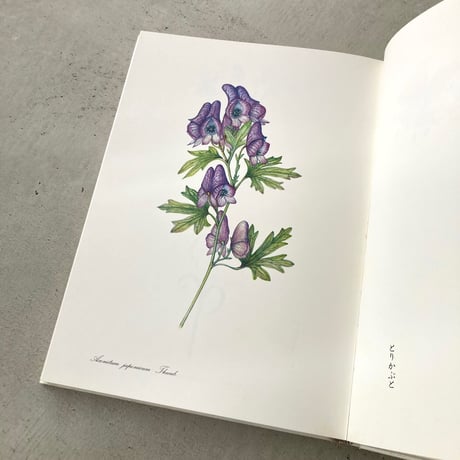 私の植物図鑑