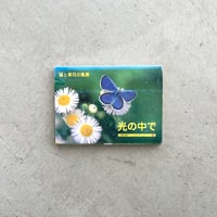 【ポストカードブック】光の中で