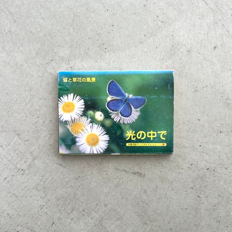 【ポストカードブック】光の中で
