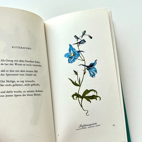 Heiteres Herbarium：Blumen und Verse