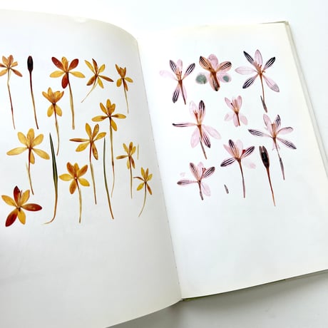 FLORA