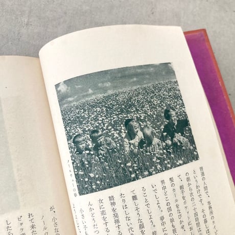 古い国からの新しい手紙